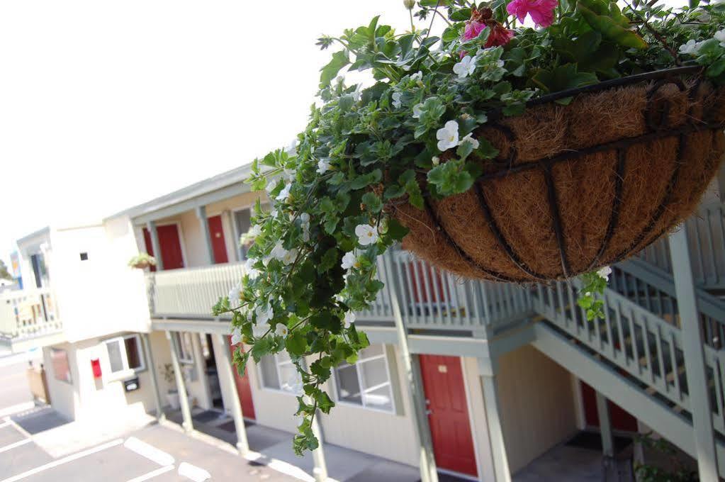 Sandy Cove Inn Seaside Esterno foto
